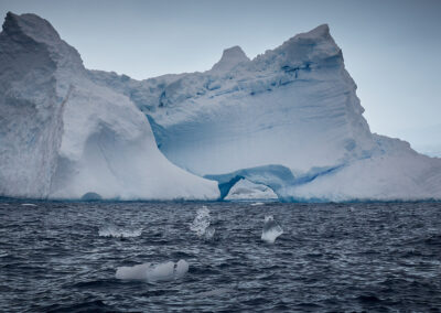 Antarctica: The Life-Changing Voyage | Angel Lemus