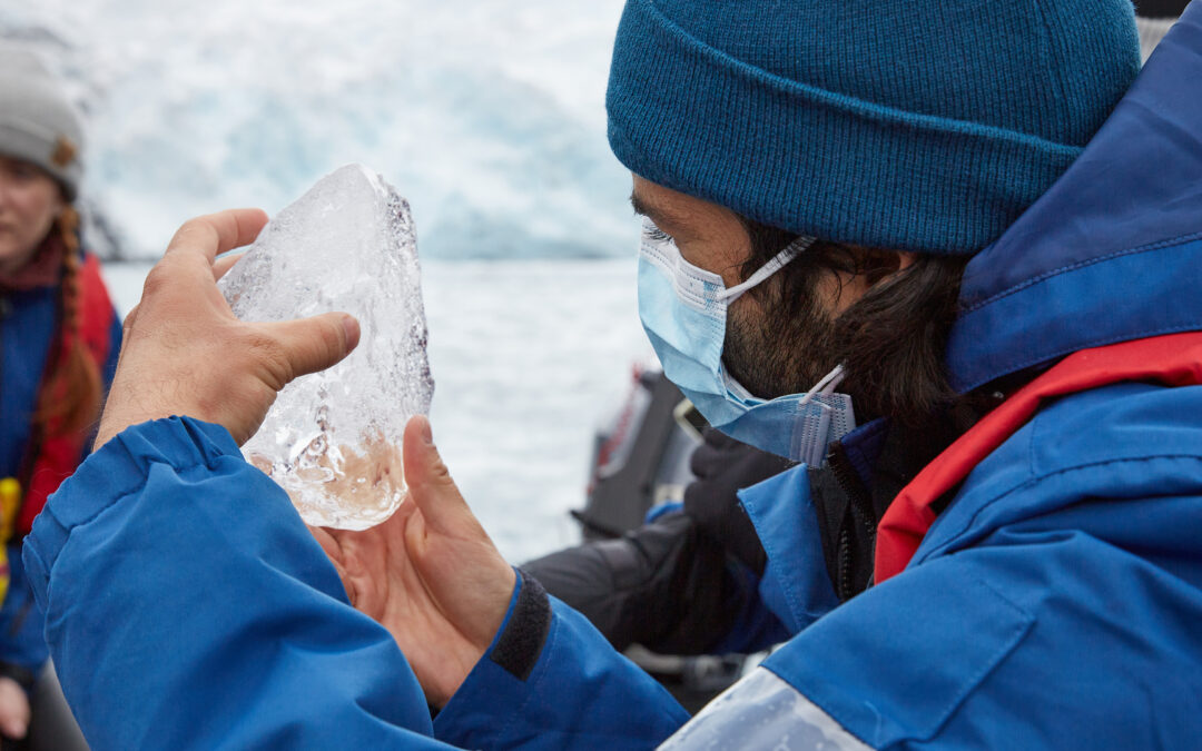 Metamorphosis. Reflection | Angel Lemus