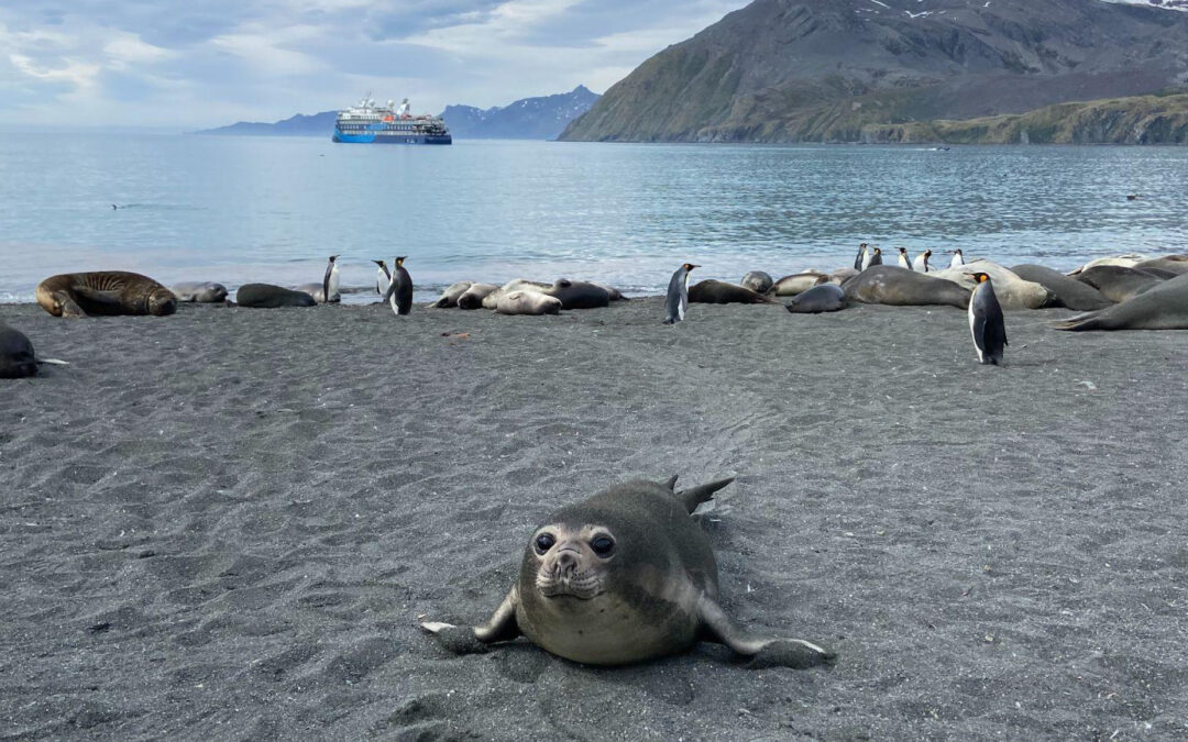 The Sounds of Antarctica | Elena Humphreys Lucas