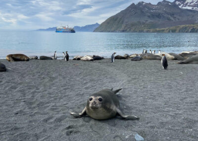 The Sounds of Antarctica | Elena Humphreys Lucas